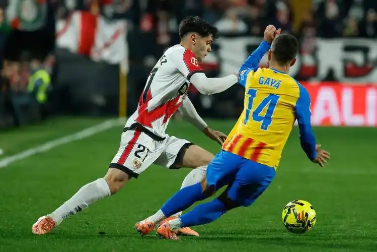 雨燕直播体育免费直播